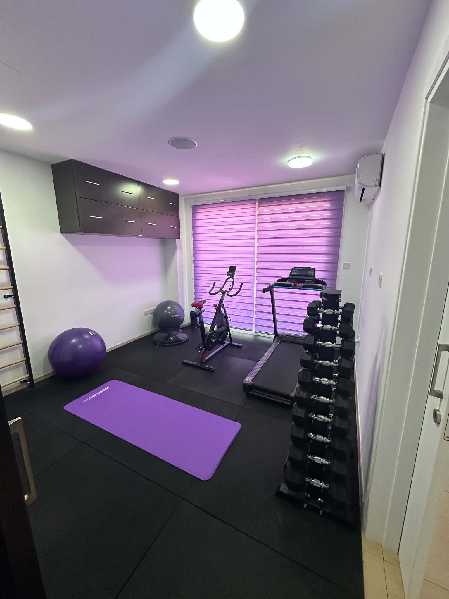Exercise and rehabilitation studio